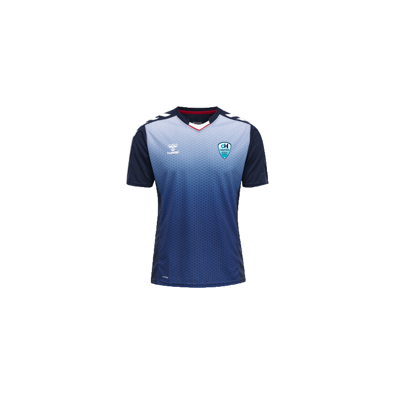 MAILLOT MATCH AMICAL REPLICA