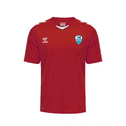 MAILLOT MATCH AMICAL REPLICA